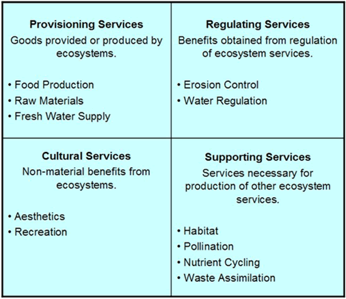 Provisioning Services/Regulating Services/Cultural Services/Supporting Services